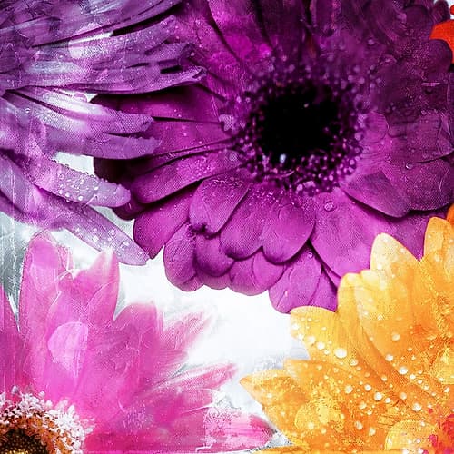 Look Flowers Art Print