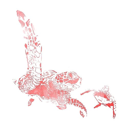 Turtles In The Sea Coral Coastal Print