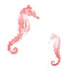 Horses In The Sea Coral Art Print