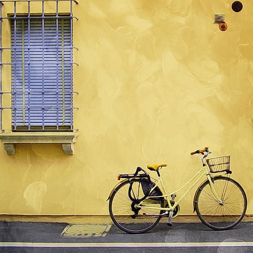 Relaxing In The Yellow Photography Print