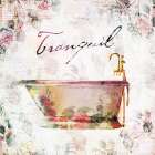 Vintage Tranquil Bathroom Art Print