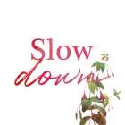 Slow Down Art Print