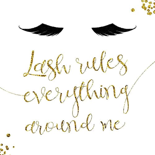 Lash Rules Everything Around Me Mode reproduction