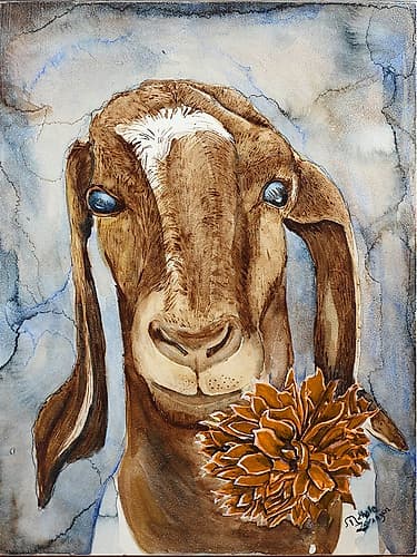 Farm Animal Goat 2 Art Print