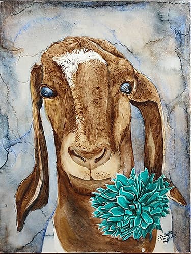 Farm Animal Goat 1 Art Print