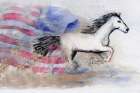 Running Horse American 1 Art Print