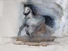Running Horse 2 Art Print