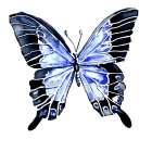 Sunflower Butterfly 1 Art Print
