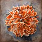 Farm Animal FLower 4 Art Print