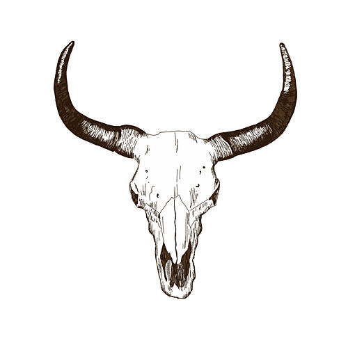 Skullline Art Print