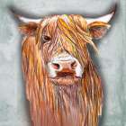 Highlander On White Art Print