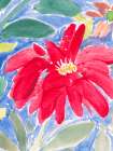 Garden Of Jewels 4 Art Print by Nida Pathan