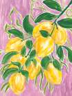 Lemons On The Vine Modern Print