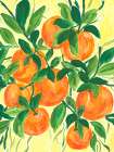 Oranges On The Vine Art Deco Print