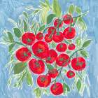 Tomatoes On The Vine Art Print