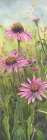 Cone Flowers Trio 2 Art Print