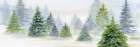 Pine Trees 1 Art Print