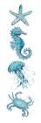 Teal Starfish Seahorse 1 Art Print