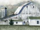 Amish Barn Muted Art Print