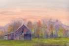 Old Barn Green Field 2 Art Print