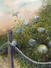 Queen Annes Lace Art Print