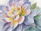 Dahlia Blue 1 Art Print