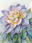 Dahlia Blue 2 Art Print