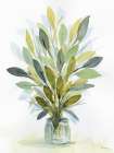 Leaves Jar Art Print