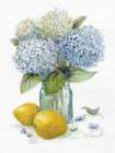 Hydrangea Lemons 1 Art Print