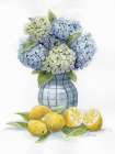Hydrangea Lemons 2 Art Print