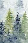 Pine Trees 6 Art Print