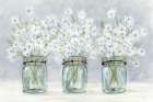 Daisies In Jars 1 Art Print