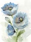 Blue Poppy 2 Art Print