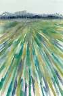 Field Blue Green Art Print