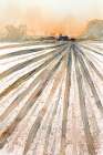 Field Farm Sunset Art Print