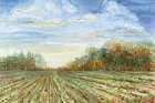 Autumn Field Art Print