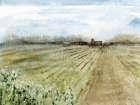 Farm Barn With Lane Art Print