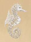 Drawing Seahorse Art Print