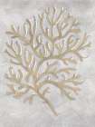 Drawing Coral Grey Art Print