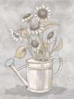 Muted Sunflowers Drawing Art Print