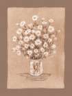 Daisies On Mocha Canvas Art Print
