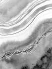 Abstract Black And White Waves Art Print