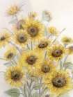 Sunflowers In Watering Can 2 Art Print