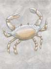 Drawing Crab 1 Gray Art Print