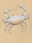 Drawing Crab 1 Art Print