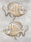 Fish Drawing 1 Gray Art Print