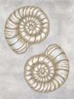 Spiral Shell Drawing Gray Art Print