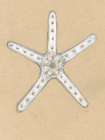 Starfish Thin Drawing Art Print