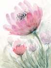 Pink Flower 2 Art Print
