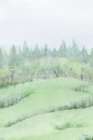 Meadow 2 Art Print
